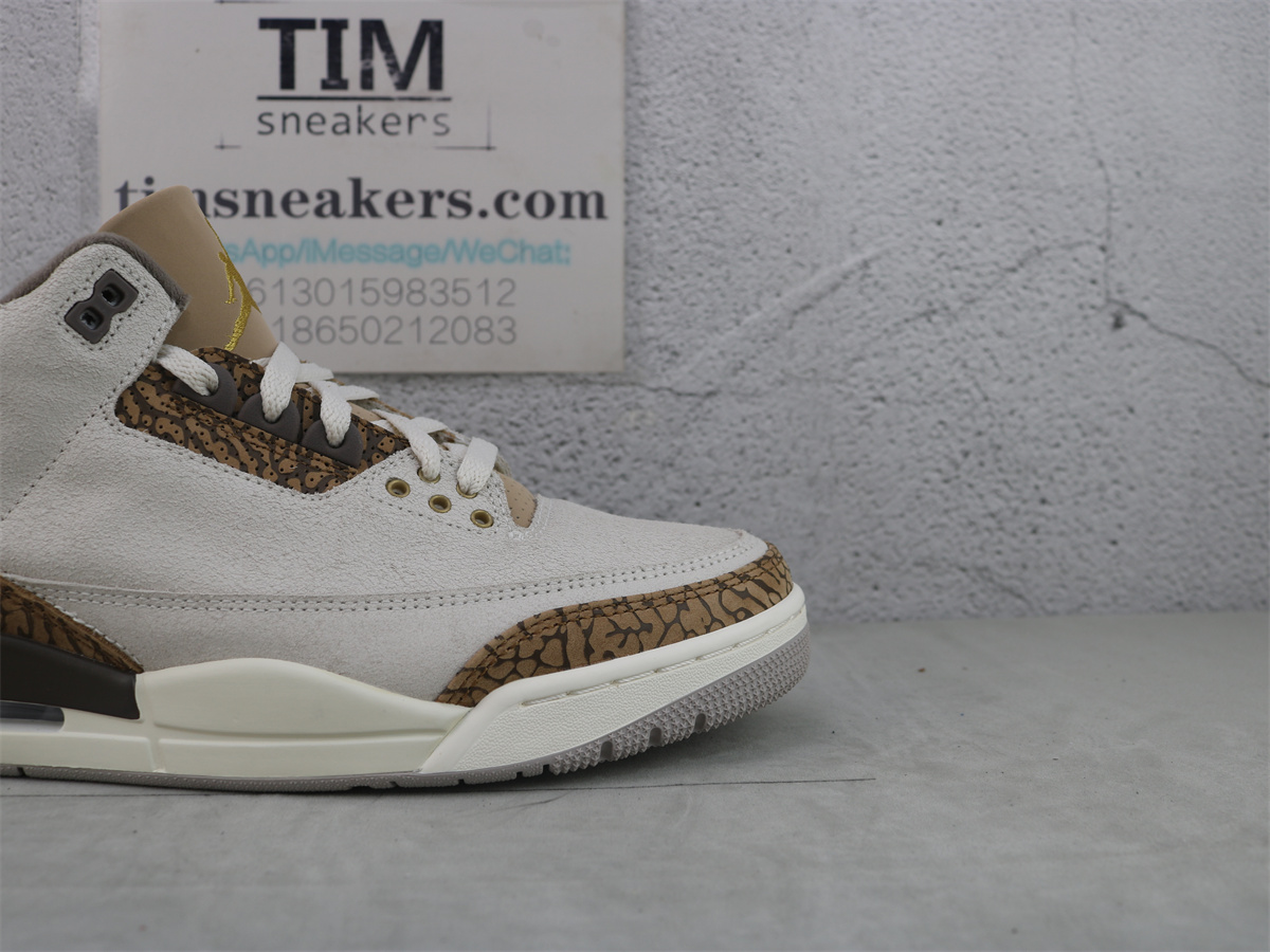 Air Jordan 3 Retro Palomino CT8532-102